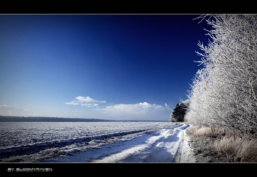 ~ Beauty of Winter V ~