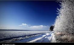 ~ Beauty of Winter V ~