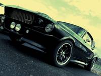 Shelby GT500