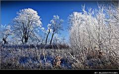 ~ Beauty of Winter VI ~