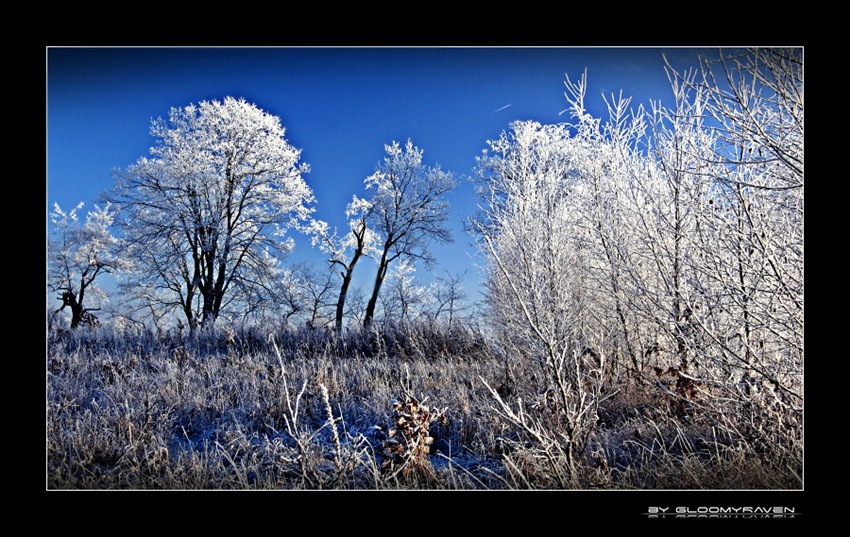 ~ Beauty of Winter VII ~