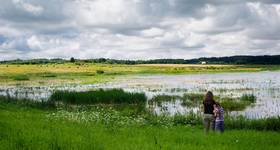 family landszaft