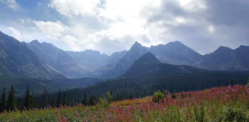 Tatry