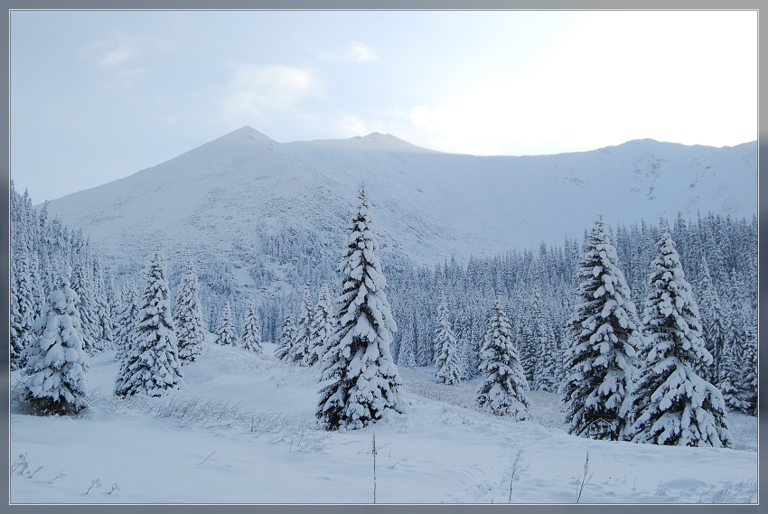 Tatry zimą....