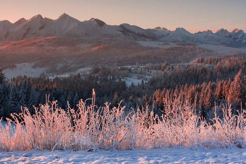 Tatry widziane ze Spisza