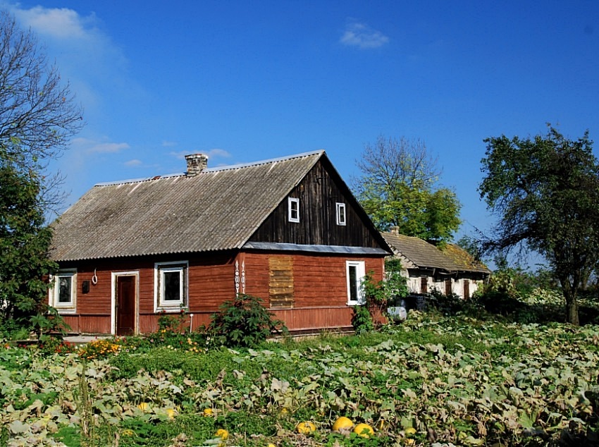 Budynin (Małe Polesie)