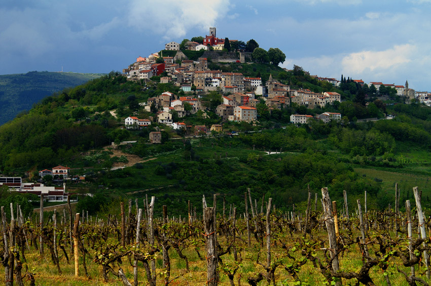 Istria wzgórze z miasteczkiem Motovun