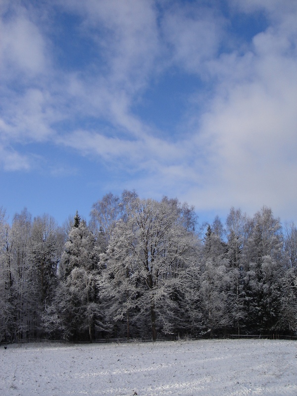 Zima - Mazury 2009