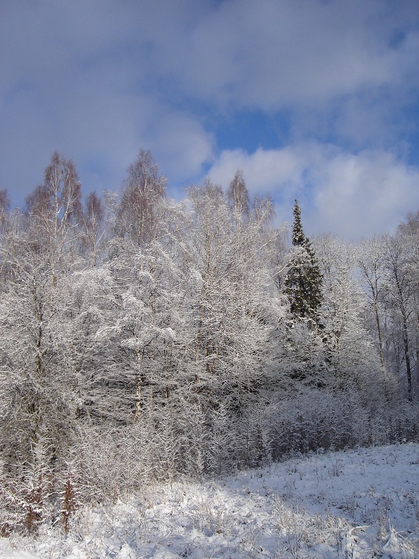 Jedynak :) Mazury 2009