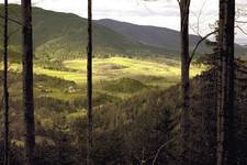 Beskid Wyspowy