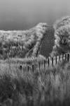 AberLady Scotland