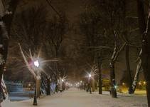 Rzeszów by Night