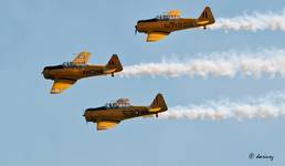 Harvardy na Toronto Airshow 2009