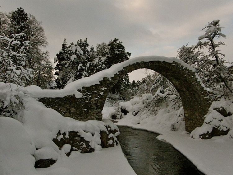 Carrbridge- Packhorse Bridge