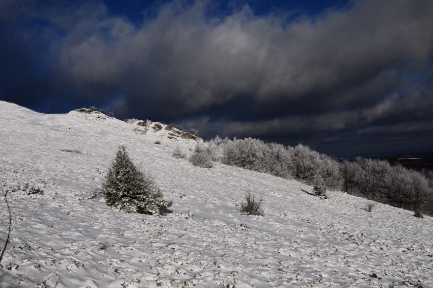 bieszczady