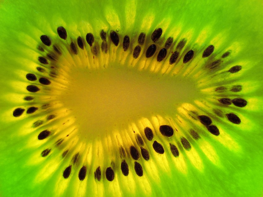 Kiwi