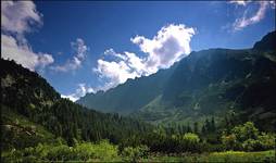 Tatry