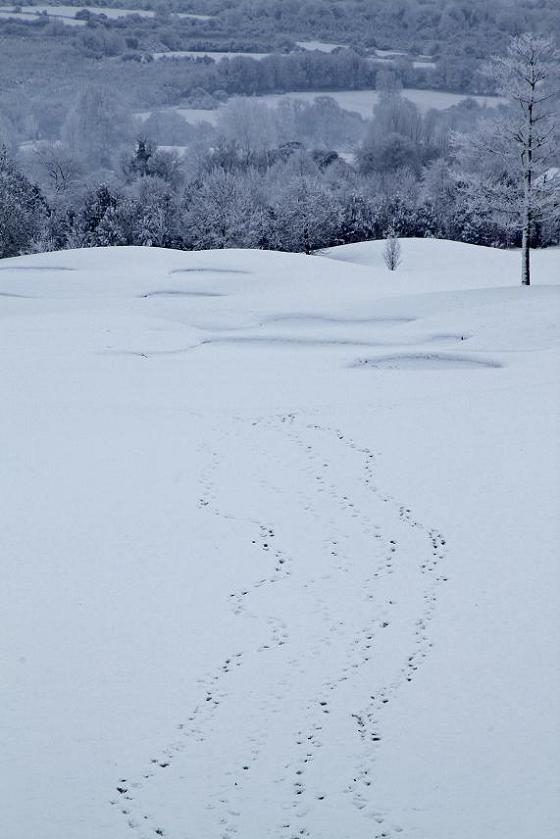 Golf cours