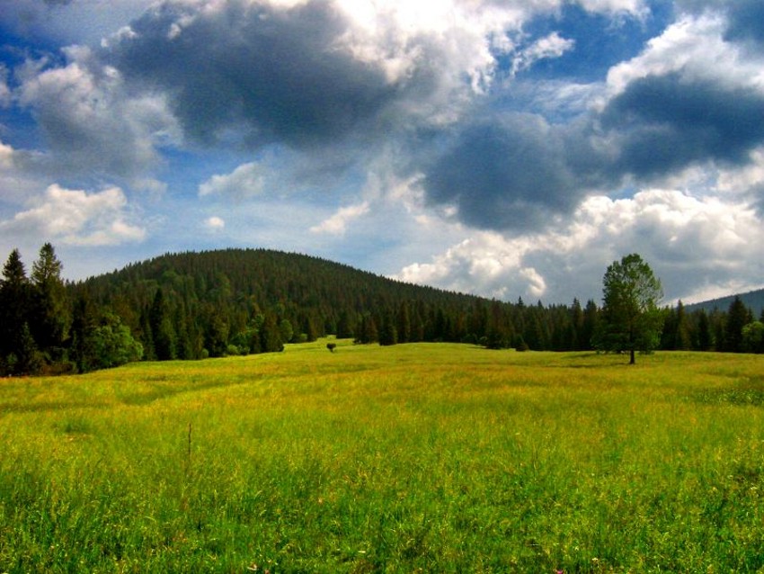 Oravice Słowcja