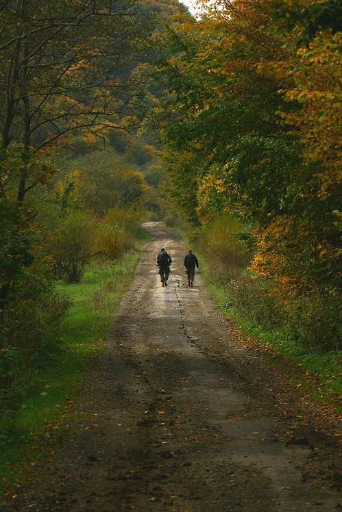 Bieszczady . . .