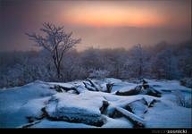 Bieszczady