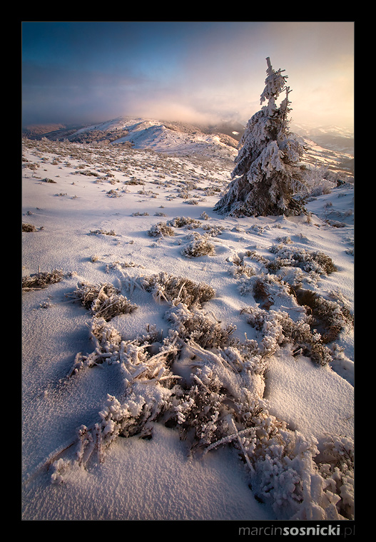 Zimowe Bieszczady