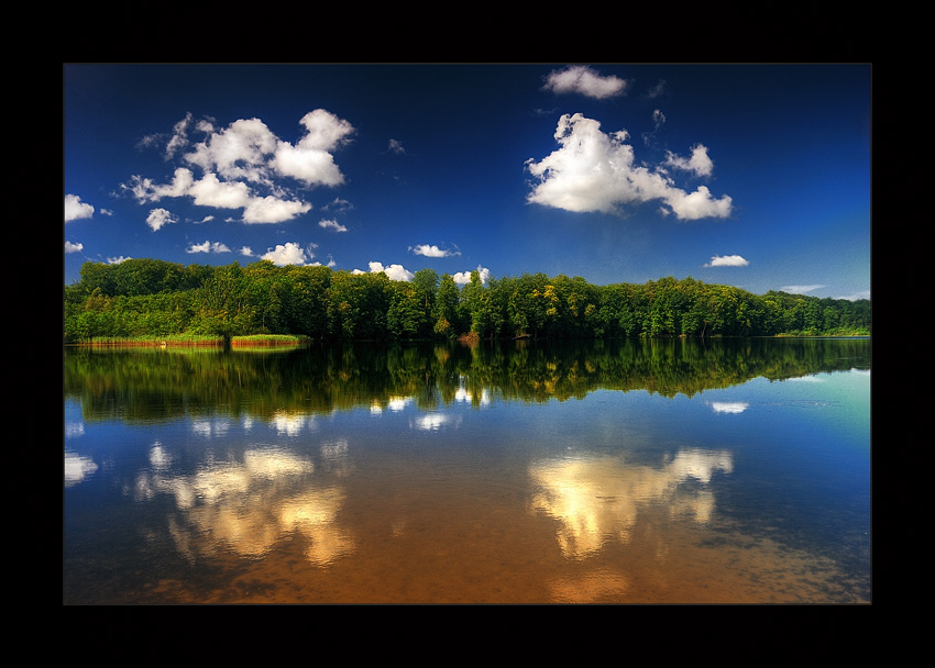 Reflection Of Nature...