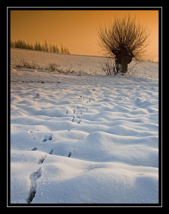 Beskid Sądecki