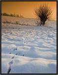 Beskid Sądecki