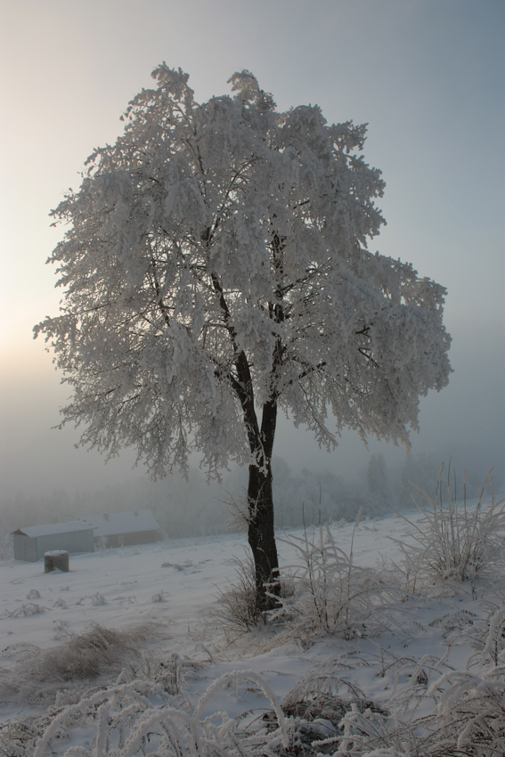 efekt cieplarniany...