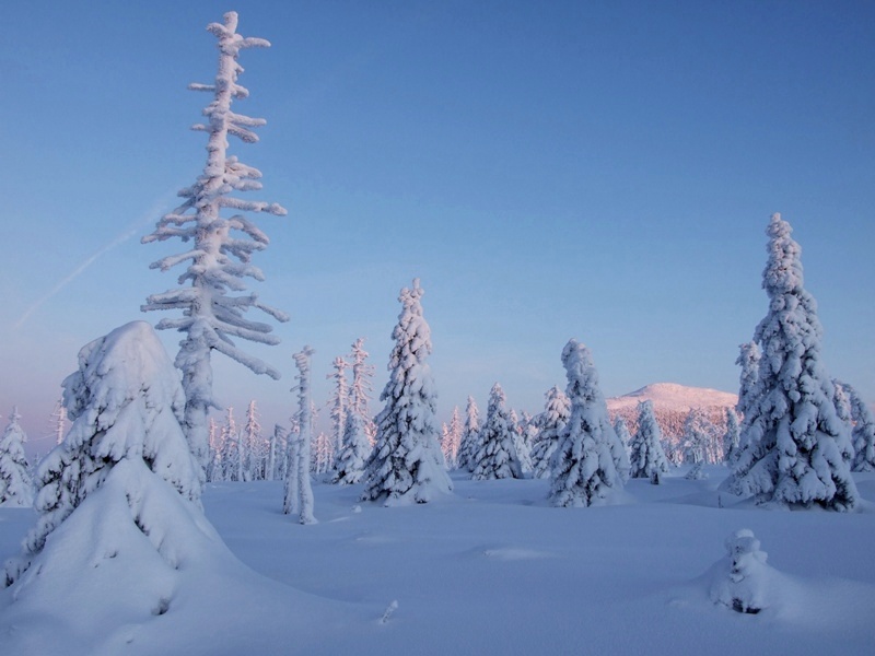 Karkonoskie wędrówki