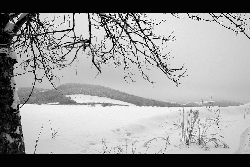 Roztocze - okolicze Radecznicy