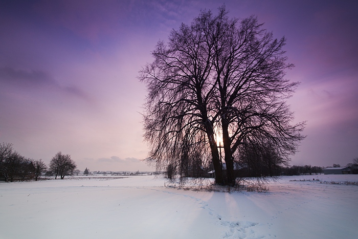 winter sunrise