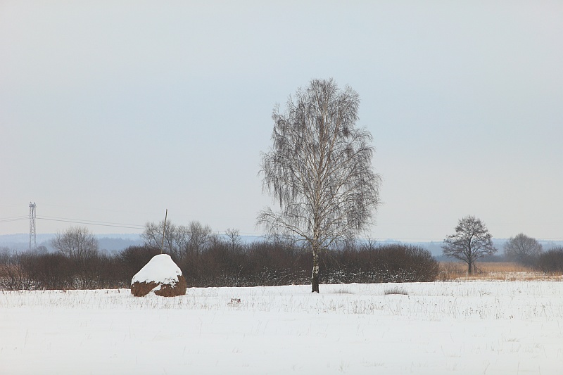 ZIMA