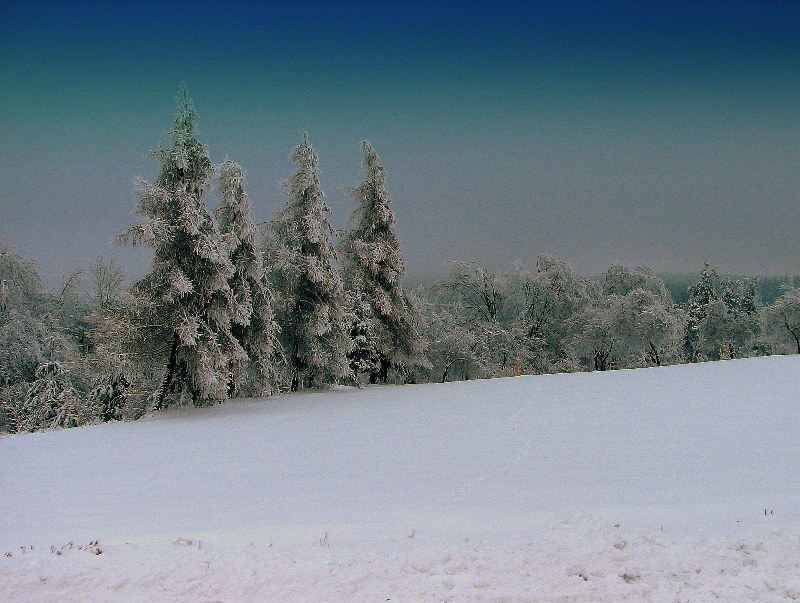 trzeszcząca zima