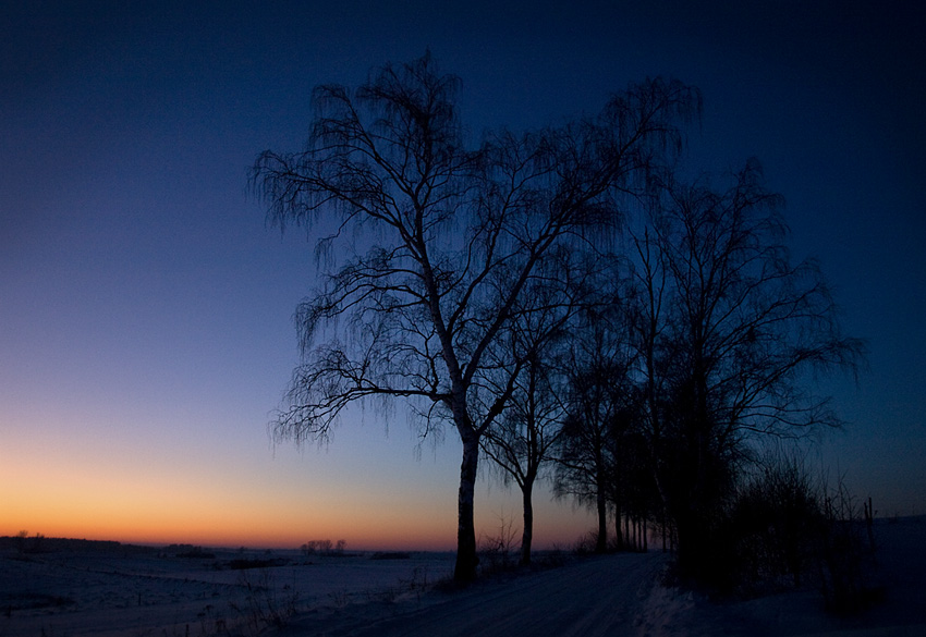 błękitny-lancrański