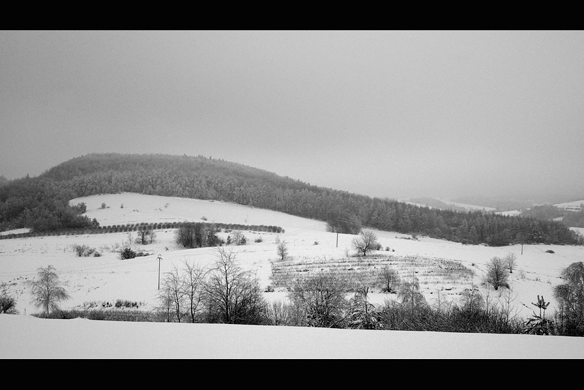 Roztocze - okolice Radecznicy