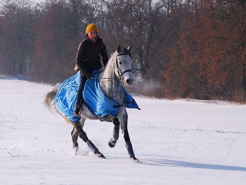 śnieżnie.