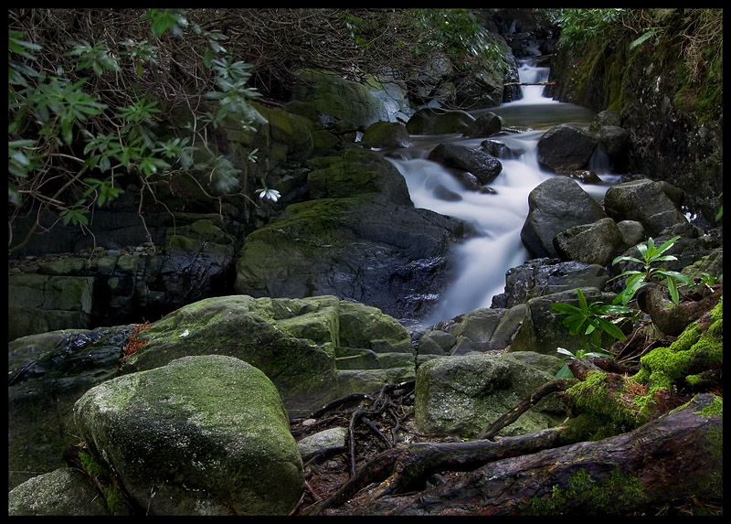 Donard Forest Park