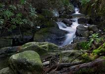 Donard Forest Park