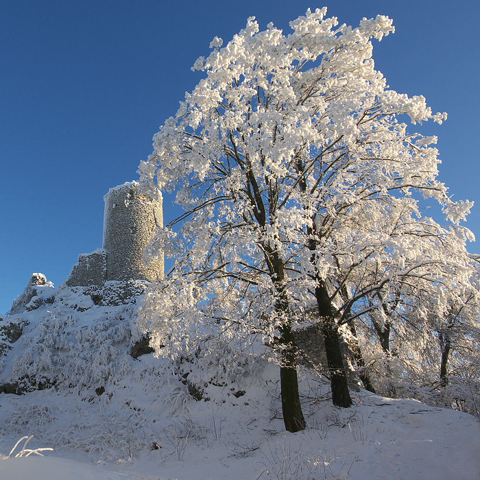 Zamek Smoleń