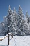 Tatry