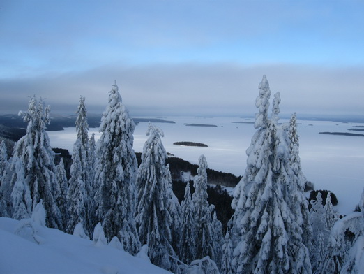 Koli jezioro