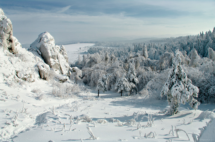 Pejzaż Styczniowy