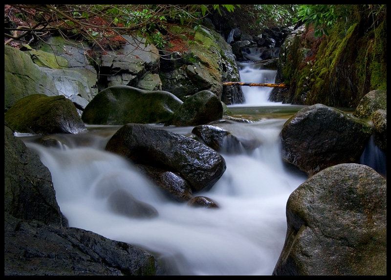 Donard Forest Park