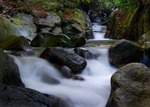 Donard Forest Park