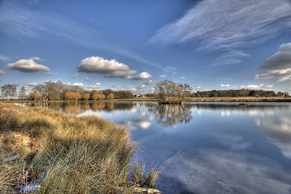 Richmond Park...