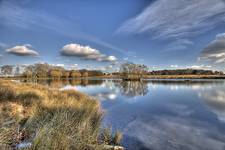 Richmond Park...