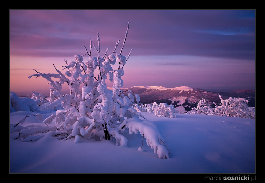 Zimowe Bieszczady