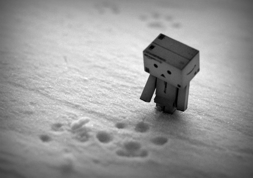 Danbo na tropach Yeti